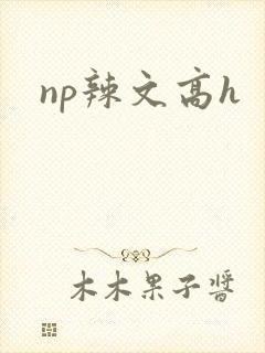 np辣文高h