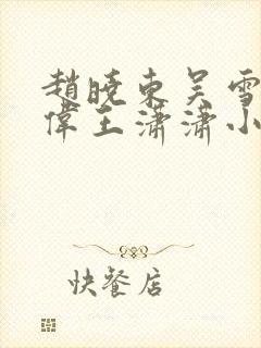 赵晓东吴雪晴郑伟王潇潇小说