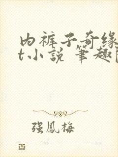 内裤子奇缘txt小说 笔趣阁