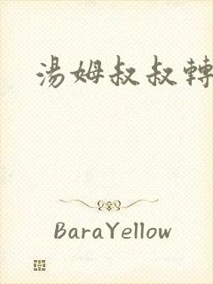 汤姆叔叔转接口