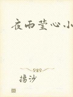 夜雨莹心小说