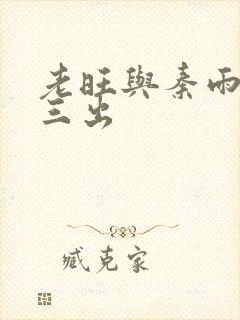 老旺与秦雨三进三出