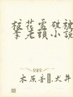 校花处破被灌满李老头小说