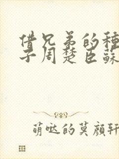 借兄弟的种生孩子周楚臣苏糖