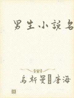 男生小说名字