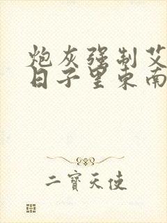 炮灰强制艾草的日子里东南枝小说