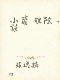 小萝 破除 小说封面