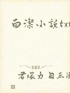 白洁小说txt封面