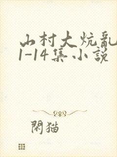 山村大炕乱肉续1-14集小说