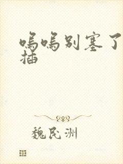 呜呜别塞了啊抽插