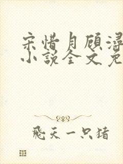 宋惜月顾浔渊的小说全文免费阅读