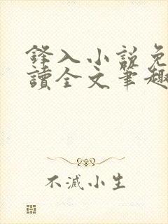 锋入小说免费阅读全文笔趣阁封面