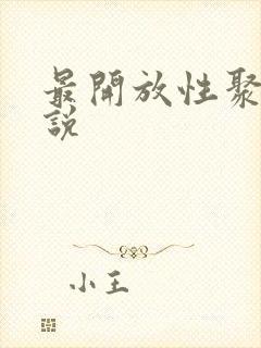 最开放性聚会小说