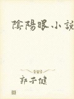 阴阳眼小说