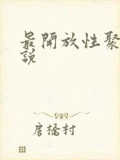 最开放性聚会小说封面