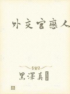 外交官恋人小说封面