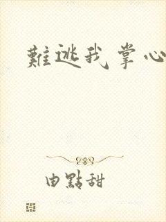 难逃我掌心封面