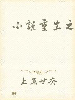 小说重生之官道封面