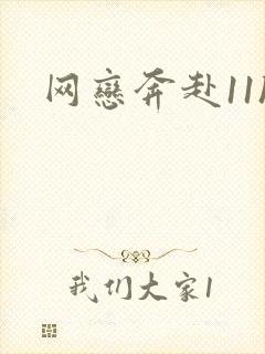 网恋奔赴11h封面