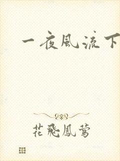 一夜风流下载