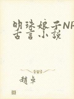 明珠娘子NPC古言小说