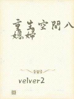 重生空间八零小媳妇