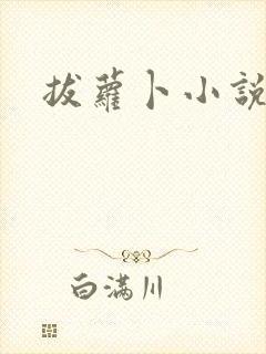 拔萝卜小说封面