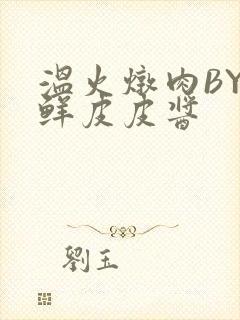 温火炖肉BY海鲜皮皮酱