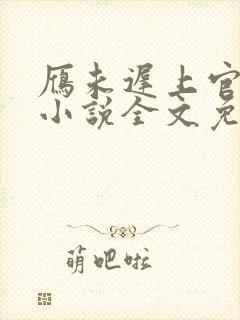 雁未迟上官穿越小说全文免费阅读封面