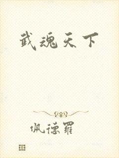 武魂天下
