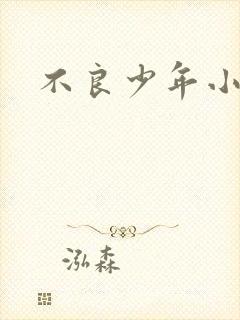 不良少年小说