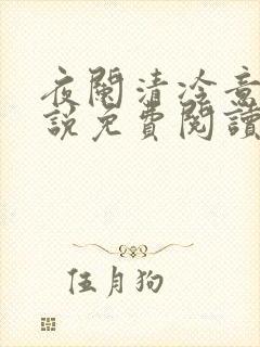 夜阑清冷意欢小说免费阅读