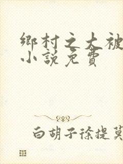 乡村之大被同眠小说免费