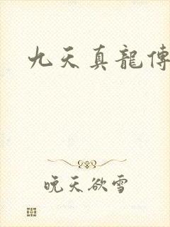 九天真龙传封面