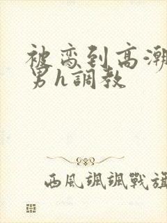 被脔到高潮的直男h调教