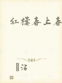 红楼春上春封面