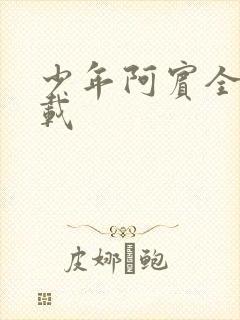 少年阿宾全集下载封面