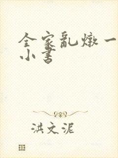 全家乱炖一锅烩小书