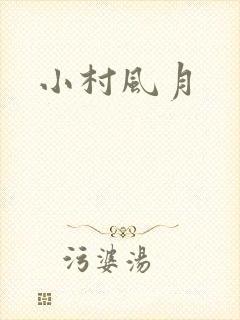 小村风月封面