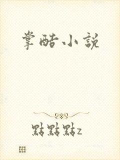 掌酷小说