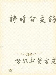 诗晴公交的小说封面