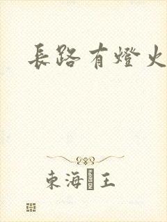长路有灯火封面