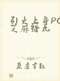 引火上身POP芝麻糖丸