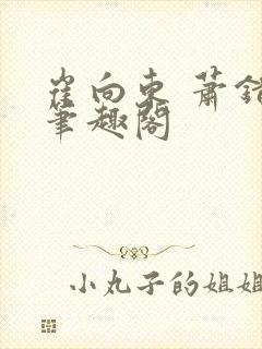 崔向东 萧错 笔趣阁