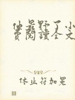 他最野了小说免费阅读全文