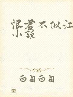 恨君不似江楼月小说