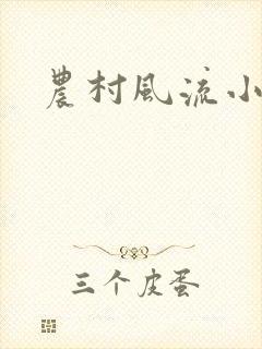 农村风流小说封面