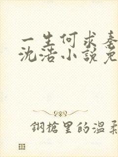 一生何求秦菲雪沈浩小说免费阅读全文