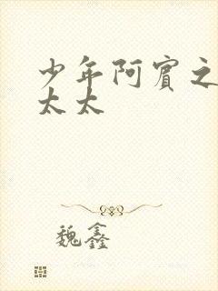 少年阿宾之房东太太