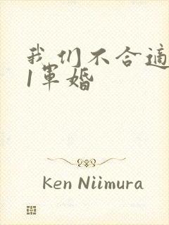我们不合适1v1军婚封面
